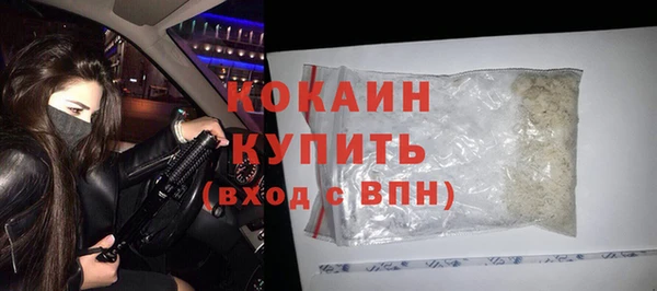 гидра Рославль