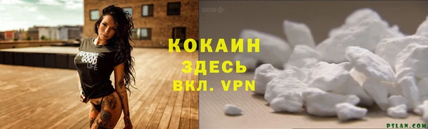 гидра Рославль