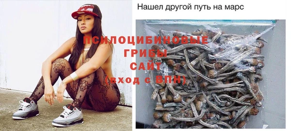 гидра Рославль