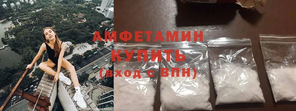 гидра Рославль