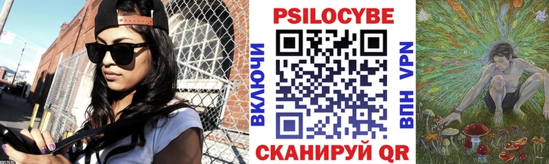 что такое наркотик  Рославль  Галлюциногенные грибы Psilocybe 