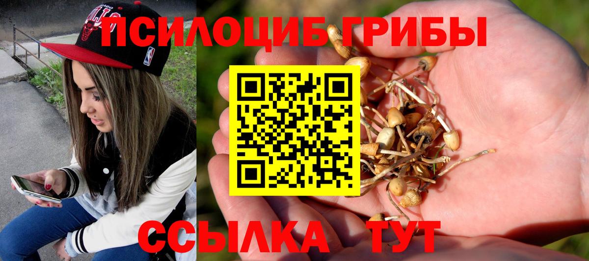 Псилоцибиновые грибы GOLDEN TEACHER Рославль